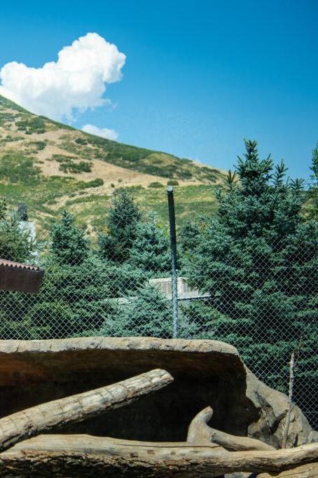 Utah's Hogle Zoo